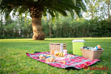 izmir ücretsiz piknik alanları